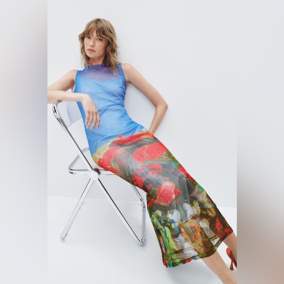 Wynn Hamlyn Rose Field Mesh Maxi Dress - Picture 1 of 13